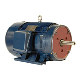 Single Speed Pool Pumps